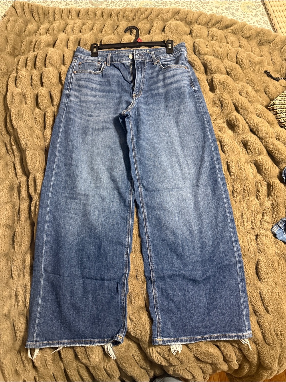 American Eagle Low-Rise Baggy Wide Leg